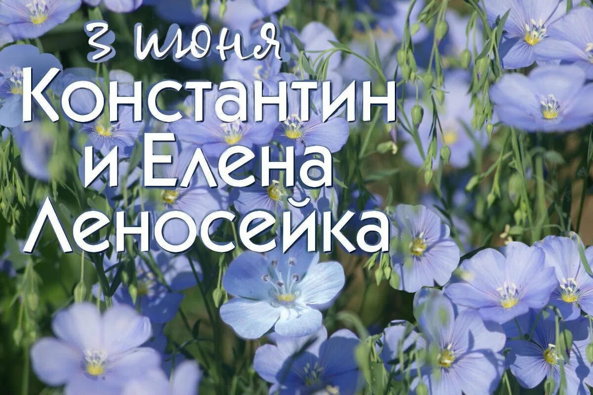 3 Июня. Оленин день 3 июня. День Елены и Константина 3 июня. С днём Святой Елены 3 июня.