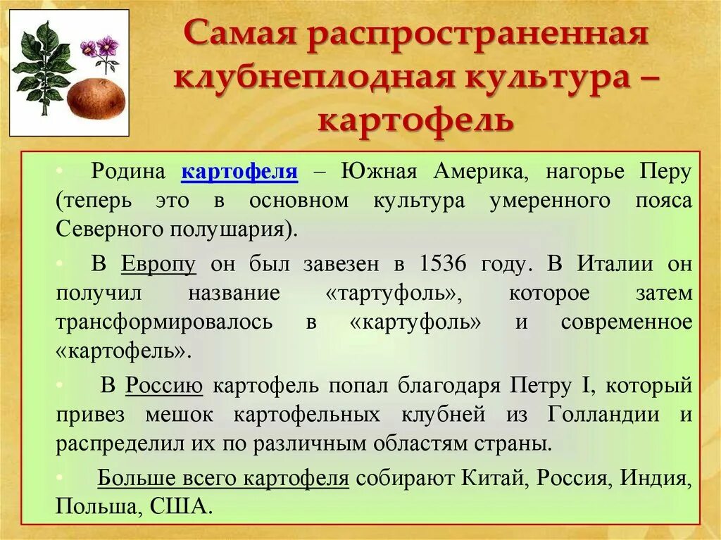 Крупнейшие производители картофеля. Распространение культуры картофеля. Технические культуры страны. Картофель Страна производства. Страны производители технических культур.