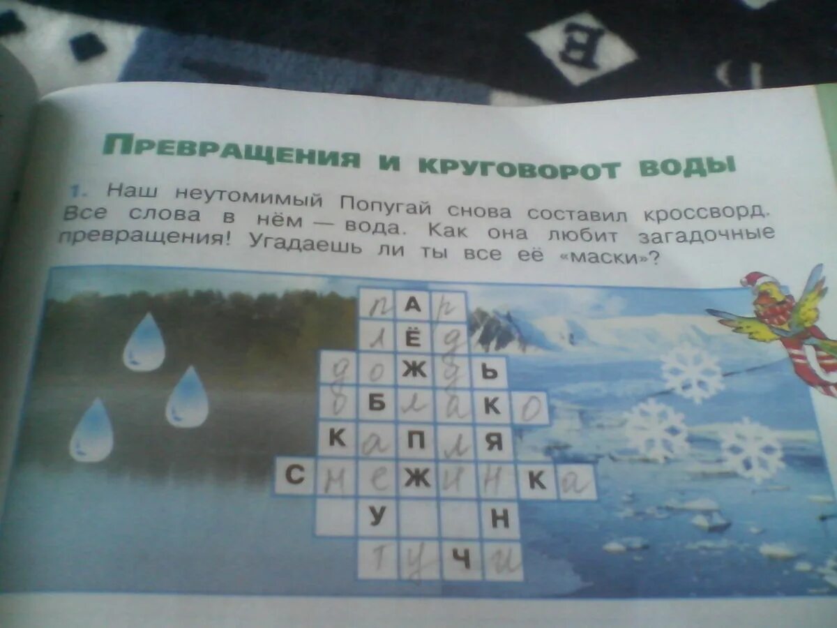 Наш неутомимый попугай снова составил кроссворд все слова в нем вода. Наш неутомимый попугай снова составил. Загадочные превращения воды. Кроссворд на тему превращение и круговорот воды. Загадочные ответы на вопросы