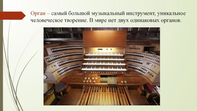Большое музыкальное слово. Большой музыкальный инструмент. Самый большой орган. Сообщение об органе. Орган музыкальный инструмент.