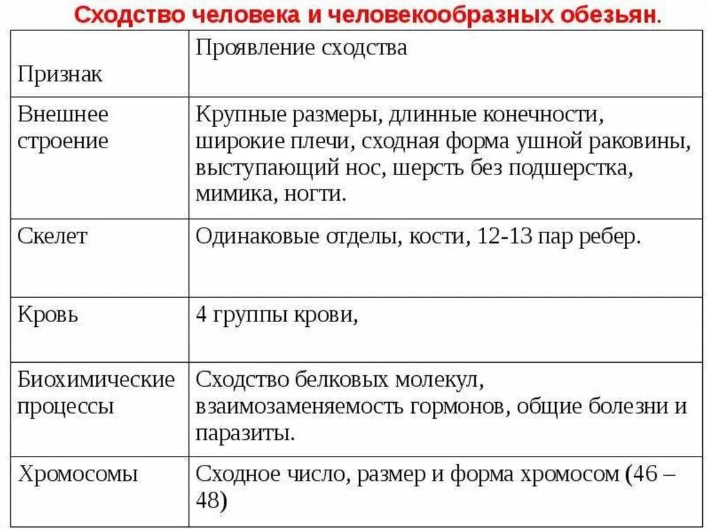 Какие признаки человека и животного общего. Черты сходства человека и человекообразных обезьян таблица. Основные сходства человека с человекообразными обезьянами. Черты сходства и различия человека и человекообразных обезьян 8 класс. Сходства и различия человека и человекообразных обезьян 8 класс.