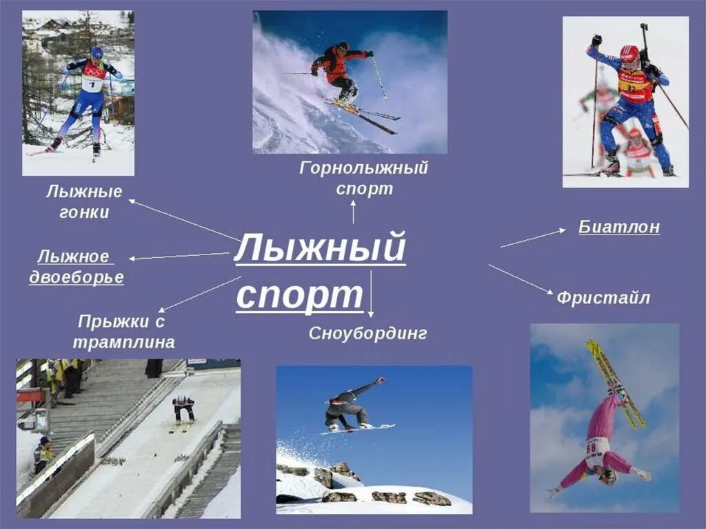 Какие бывают зимние виды. Виды спорта на лыжах. лыжный спорт презентация. разновидности лыжного спорта. лыжный спорт виды лыжного спорта.