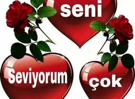 Sen cok