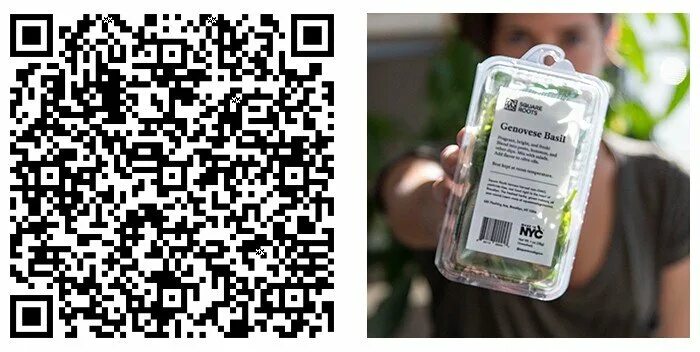Получить подарок по qr коду. Qr код подарок. qr код на упаковке. оживающая фотография с qr кодом. завлекающий qr на упаковке.