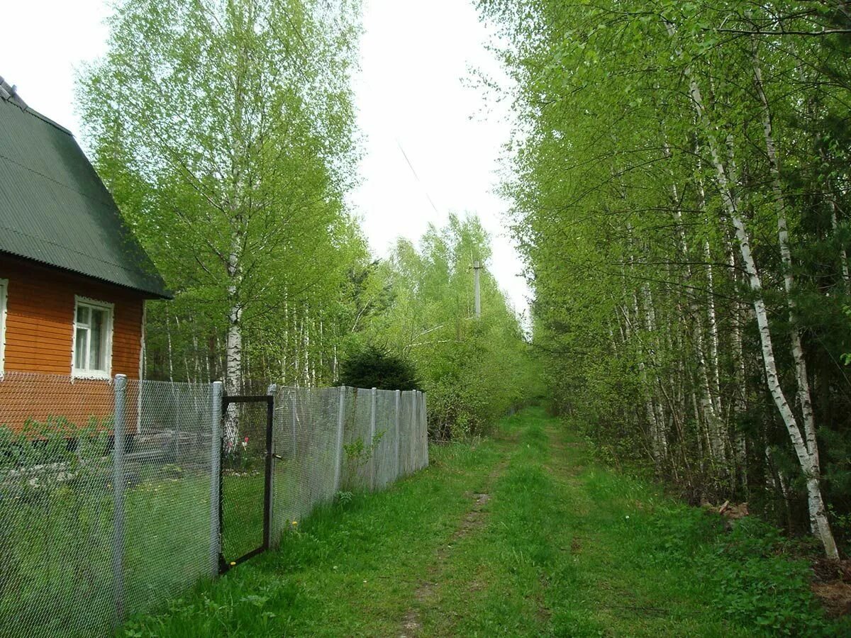 Земельное участки наро фоминск. СНТ Омхово 2.