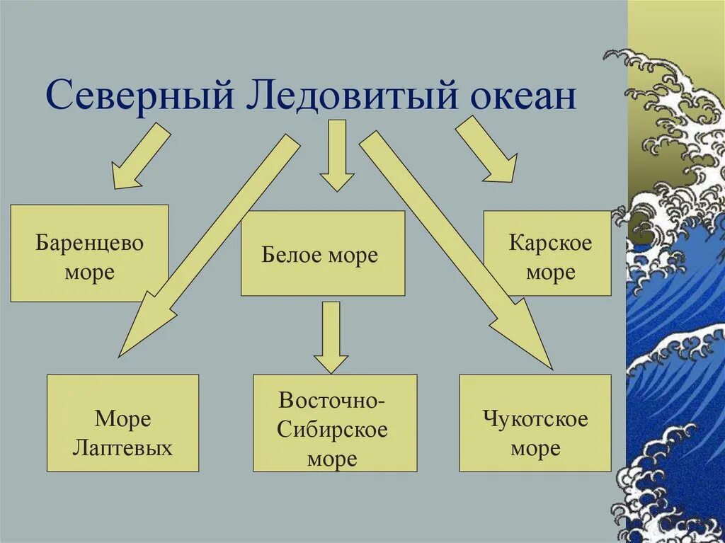 Моря северного ледовитого океана. Моря северного ледовитого. Заливы северного ледовитого океана на карте. Баренцево море и северный ледовитый океан. Моря североледовитого лкеана.