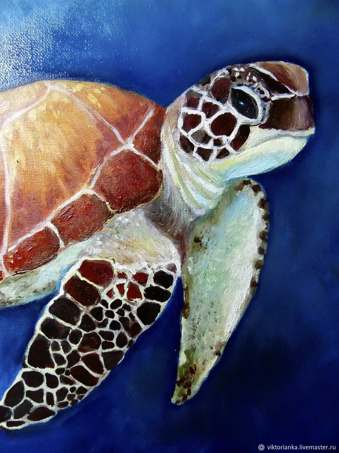 Turtle write