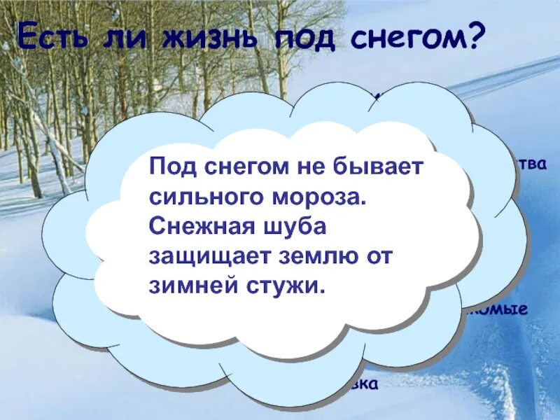 Какое свойство воздуха позволяет не замерзать