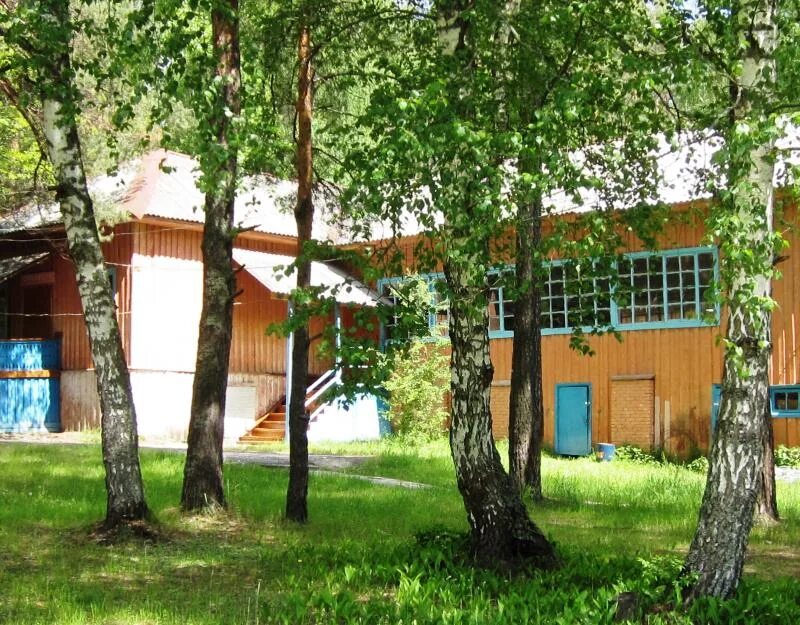 Лагерь салют новокуйбышевск. Салют лагерь детям. Лагерь салют городецкий. Салют лагерь детям. Лагерь салют балаково.