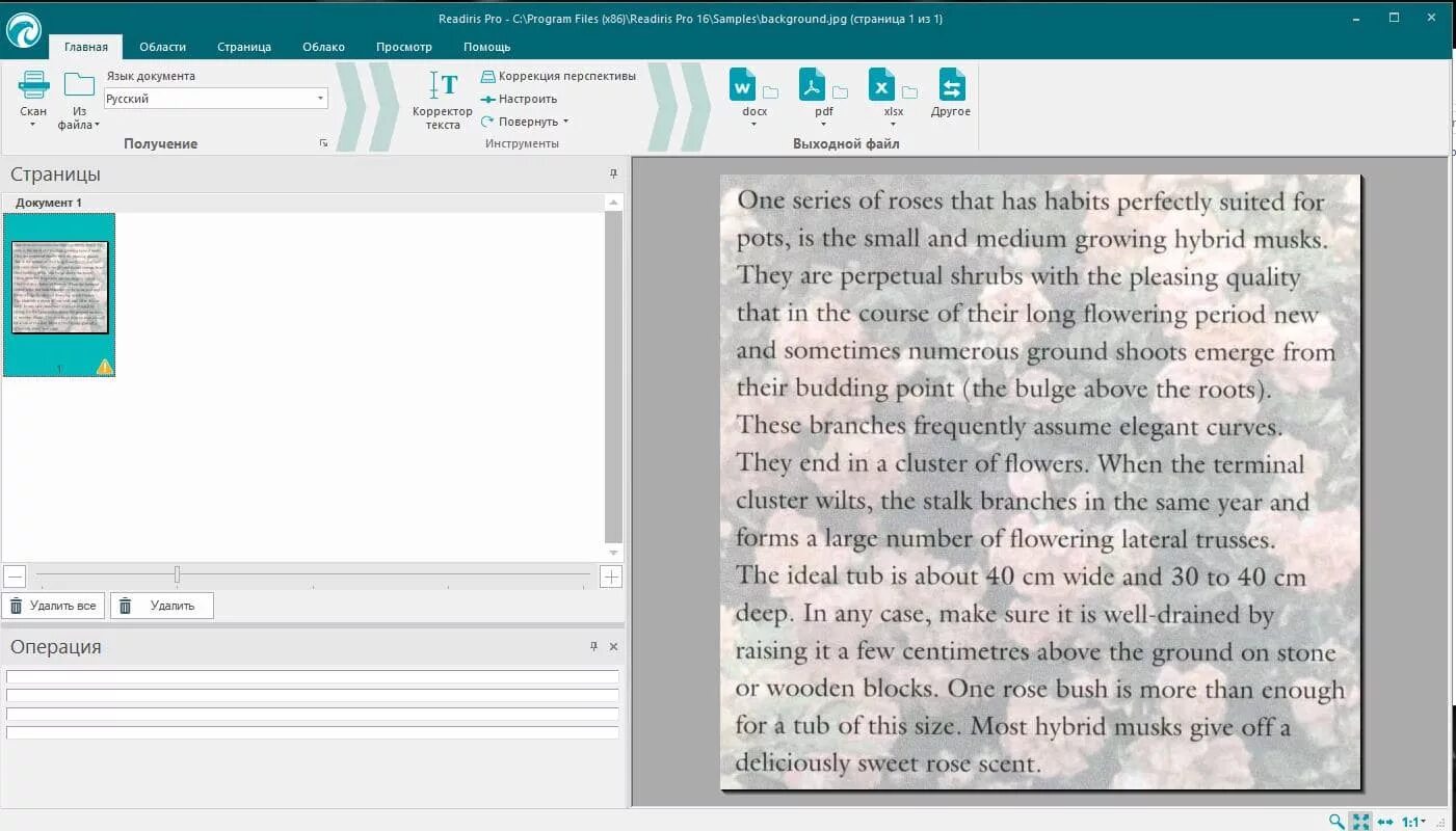 Распознавание текста. Readiris pro. Программы для сканирования и распознавания документов. Readiris pdf. Readiris pro 12.