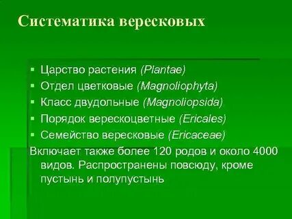 Отдел цветковые царство растения