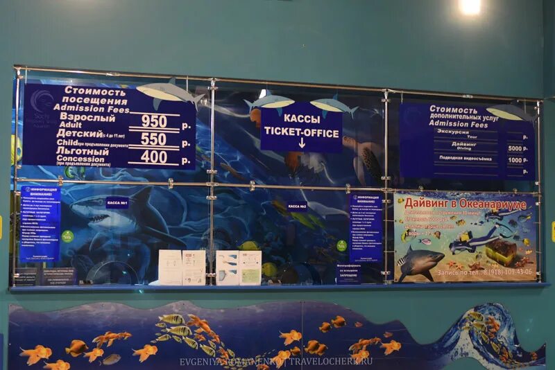 Океанариум Sochi Discovery World Aquarium. Океанариум афиша. Океанариум Екатеринбург схема зала. Океанариум Сочи схема.