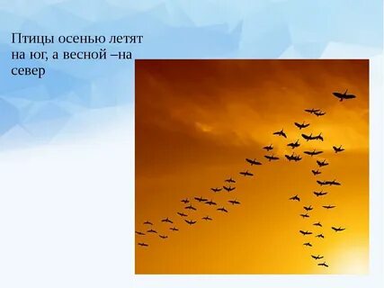 Осенью улетели