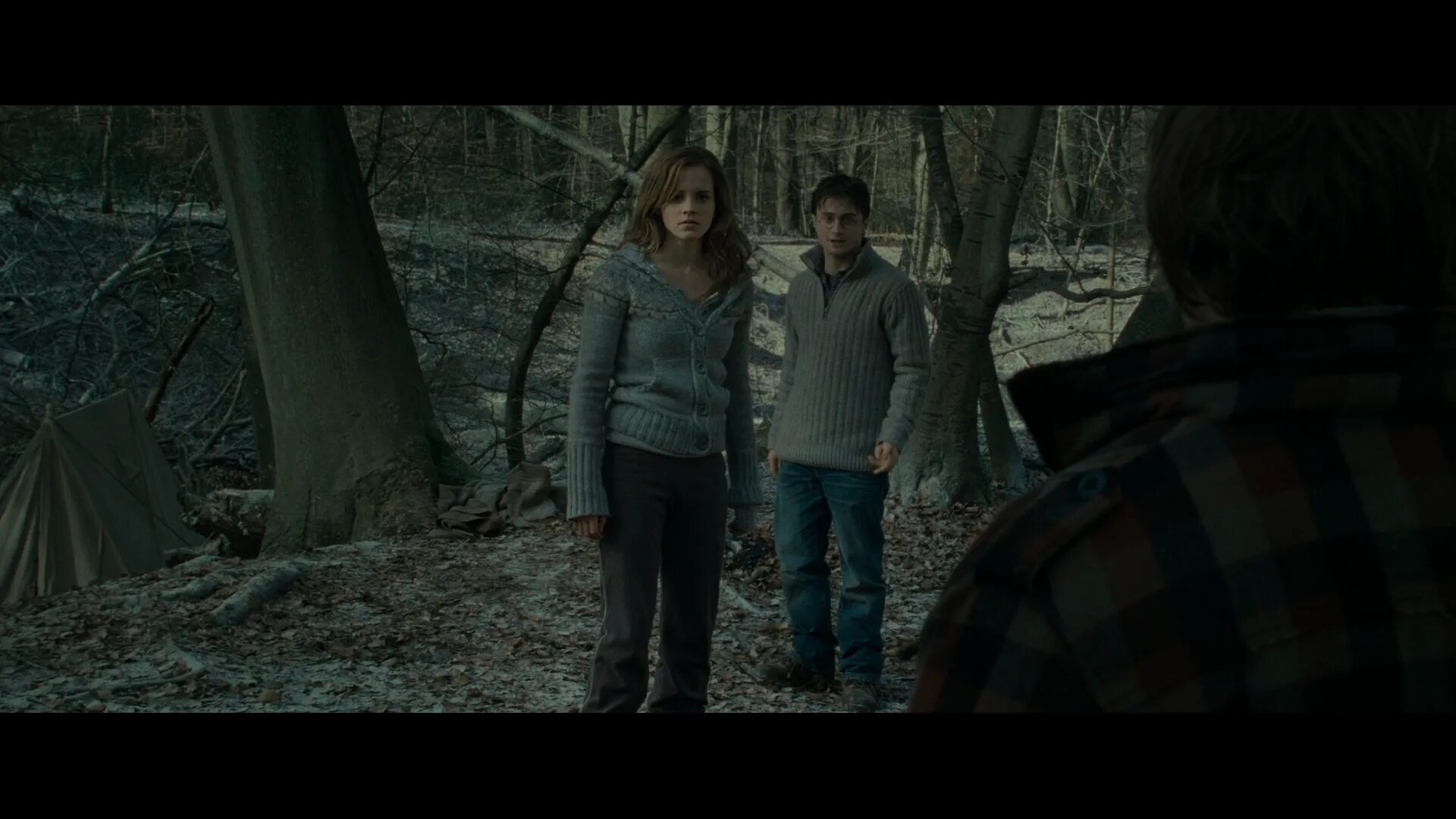 Аудиокниги дары смерти 1. Гермиона дары смерти 1. Harry Potter and the Deathly Hallows: Part 1 (2010). Deathly Hallows Harry and Hermione Wallpaper.