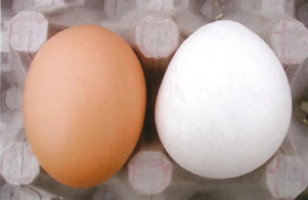 Синдром снижения яйценоскости-76. ССЯ-76. Деформированные куриные яйца. Почему скорлупа мягкая