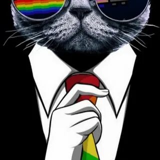 Коты на аву в тг