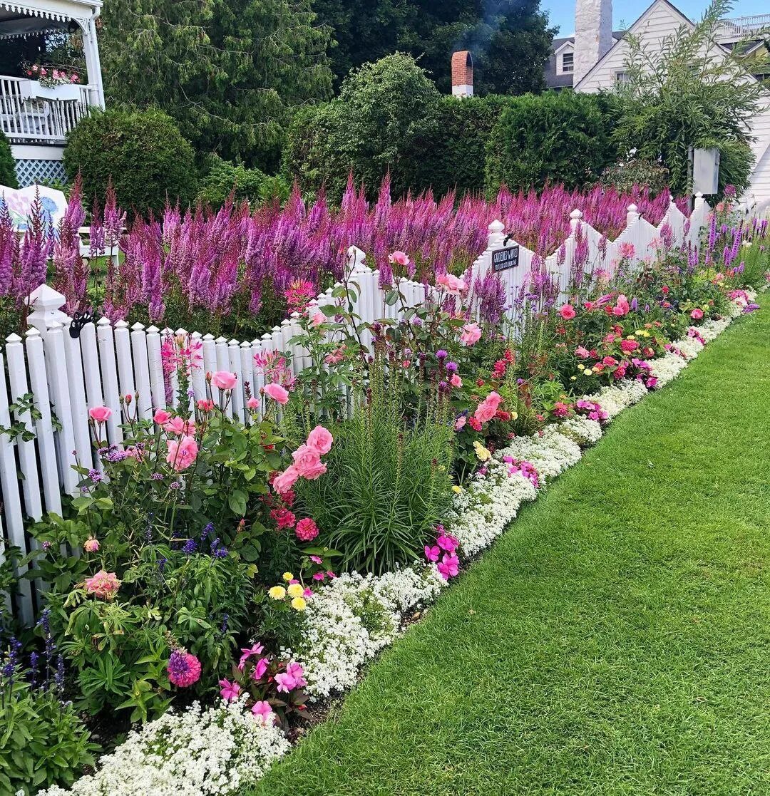 Палисадник каскад. Живая изгородь палисадника. Роза манжетка котовник. Цветник вдоль забора. Весенний палисадник тюльпаны.