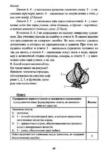 Текст егэ по биологии