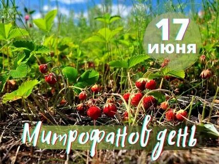 Православный календарь июнь приметы
