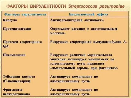 Патогенные факторы вирусов