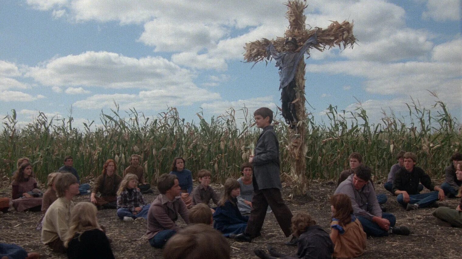 поле ужастик