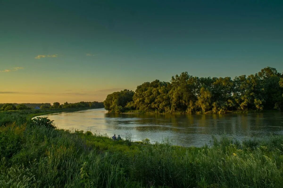 Хутор нижний краснодарский край. Река Кубань Ставропольский край. Краснодар Кубань река природа. Река Кубань на Ставрополье. Река Кубань Кочубеевское.