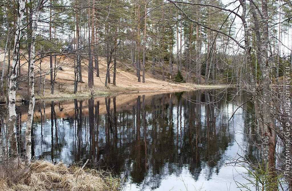 Оз щучье тверская область жарковский. Озеро щучье смоленская область. Озеро щучье смоленская. Оз щучье тверская область жарковский. Оз щучье тверская область жарковский.