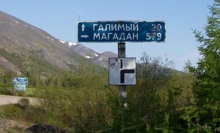 Черт галимый. Магадан указатель. Голимая или галимая. Голимая или галимая. Откисай мем.