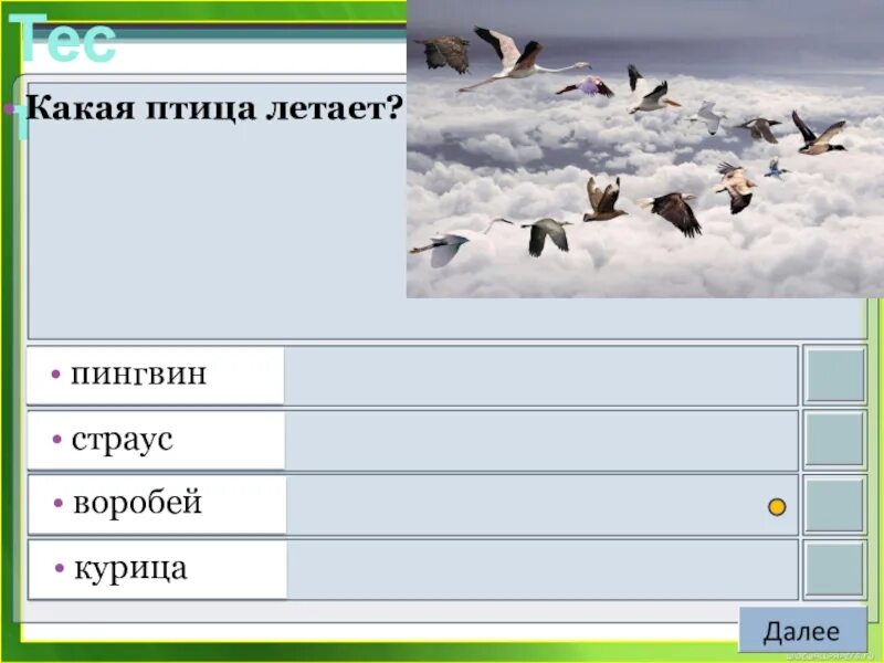 Какие птицы летают. Какая птица быстрее всех летает. Какая летающая птица курица страус Пингвин. Какая птица лучше всех летает.