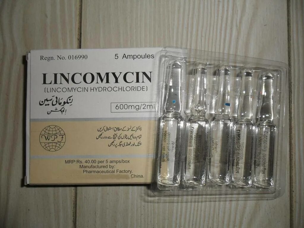 Линкомицин 600мг ампулы. Линкомицин 600 мг уколы. Линкомицин гидрохлорид 300 мг/мл. Линкомицин 2 мл в ампулах. Линкомицин уколы в десну