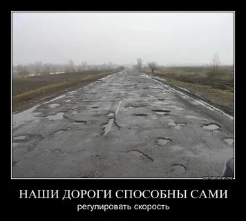 Смешные картинки дорога