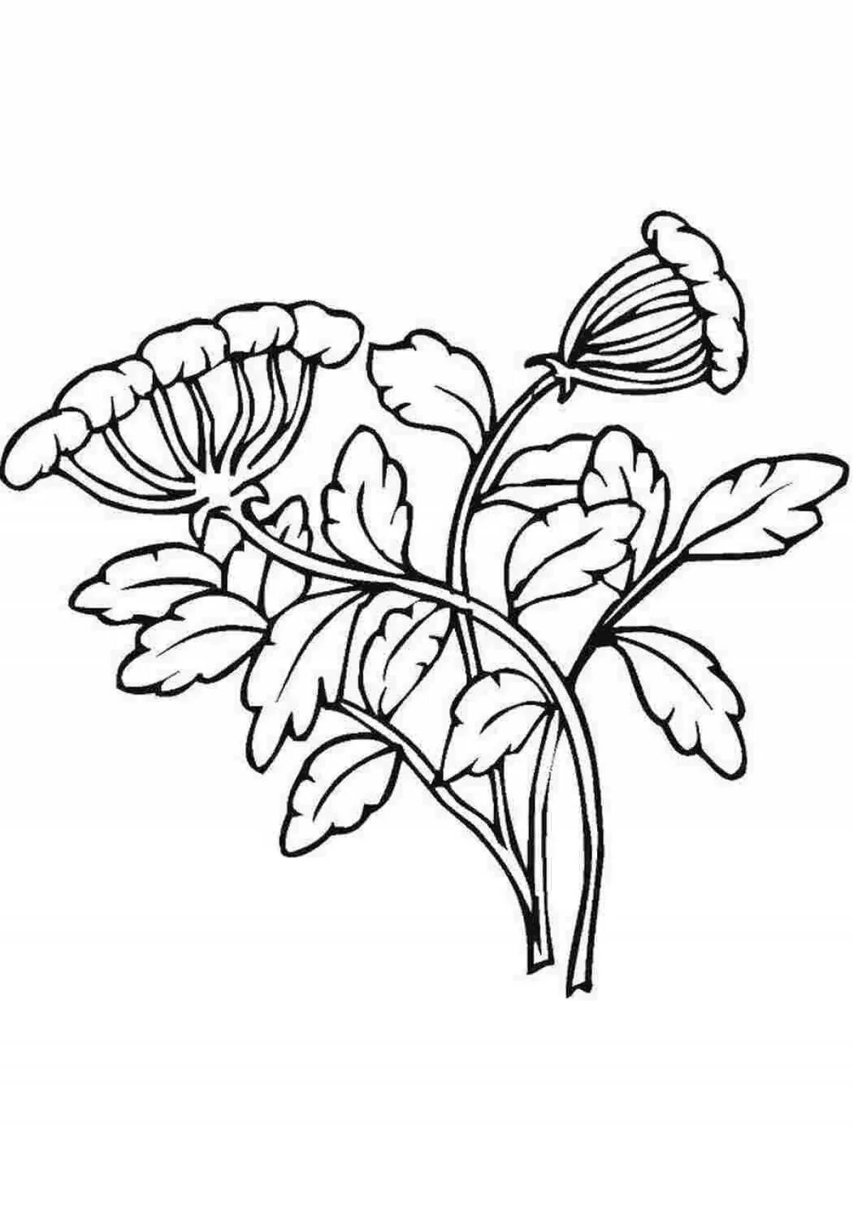 Plant coloring. Цветы. Раскраска. Растения. Раскраска. Цветы раскраска для детей. Растения раскраска для детей.