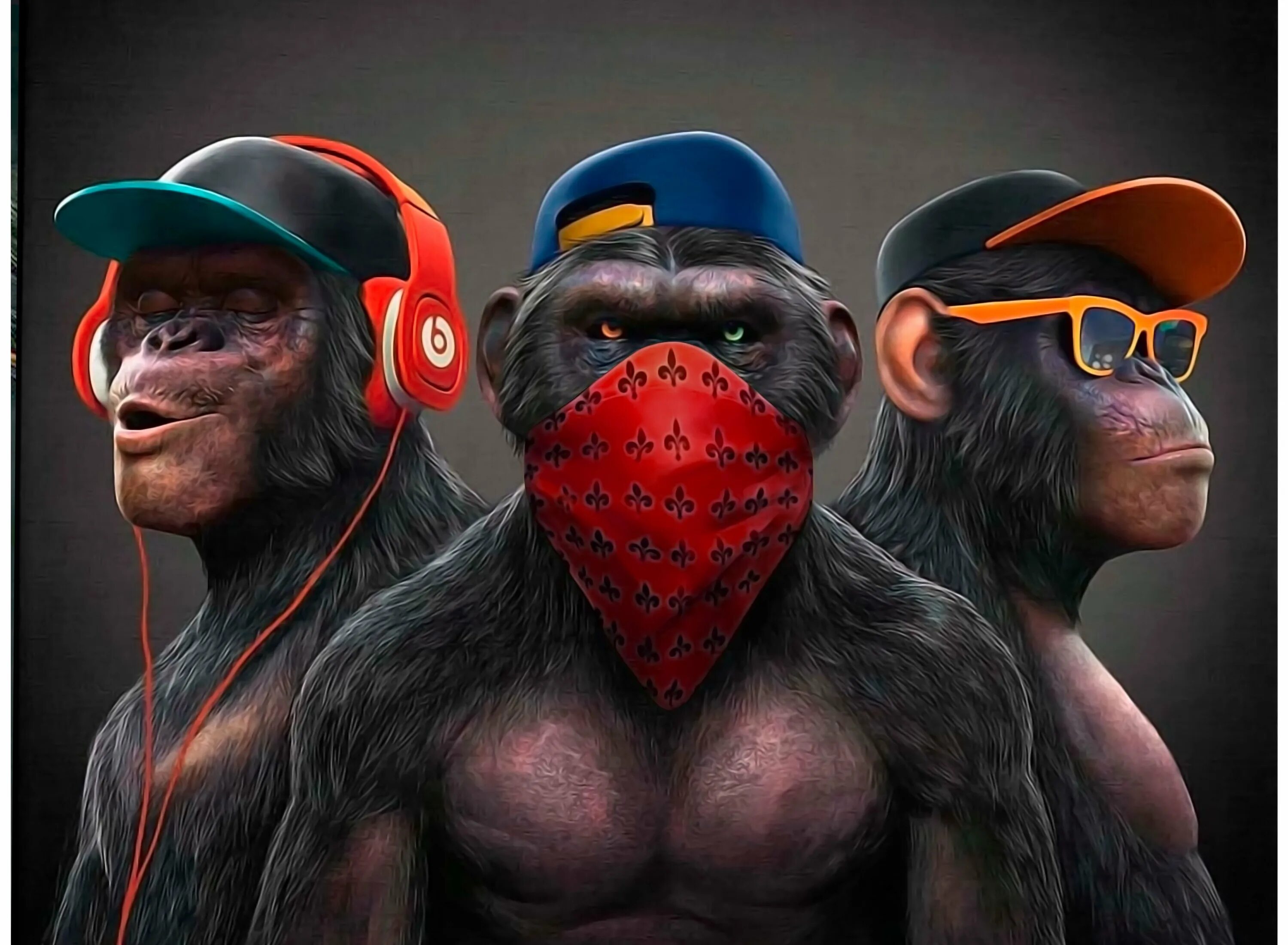 Стиль обезьяны. Три обезьяны. Картина три обезьяны. Обезьяна в очках. Крутая обезьяна.