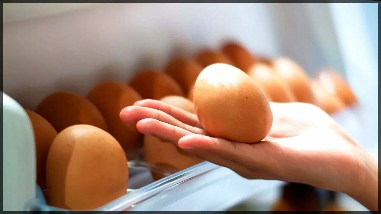 Сколько могут лежать яйца. Яйца в холодильнике. Куриные яйца в холодильнике. Хранение яиц. Яйцо в руке.