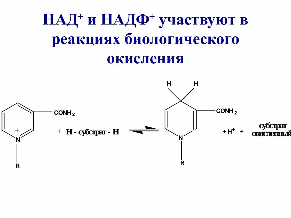 Над и надф