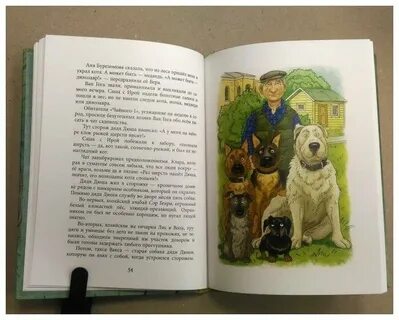 Кошачье агентство книга