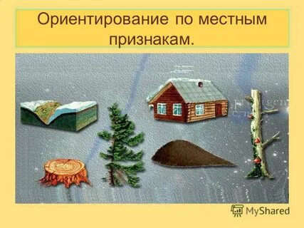 Ориентирование по природным признакам 2 класс