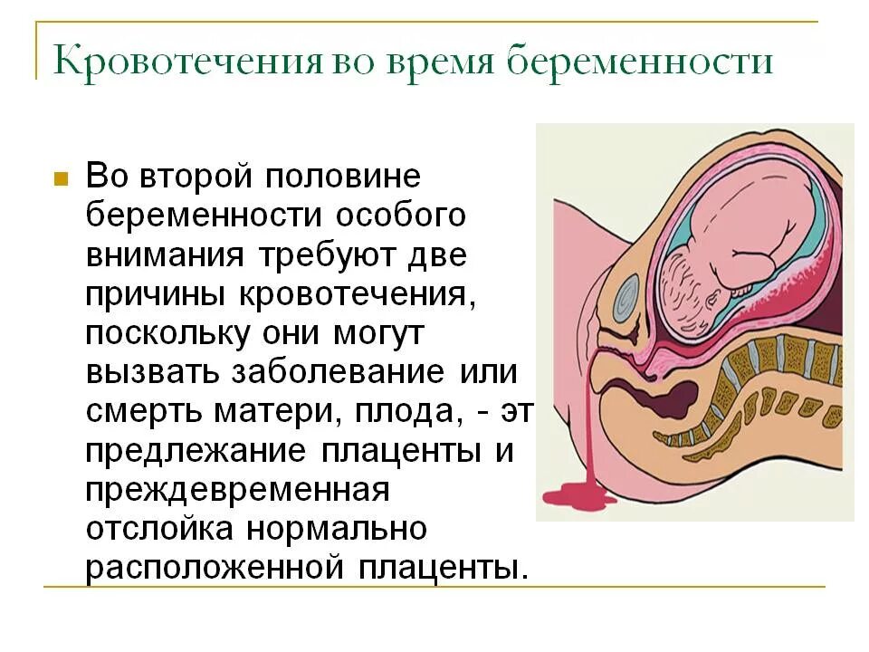 Беременность может пойти кровь