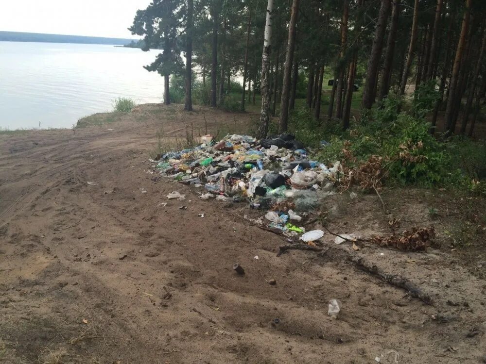 Загрязнения берегов рек. Сурское водохранилище Пенза Золотаревка берег. Сурское водохранилище свалки ТБО. Сурское море Золотаревка.