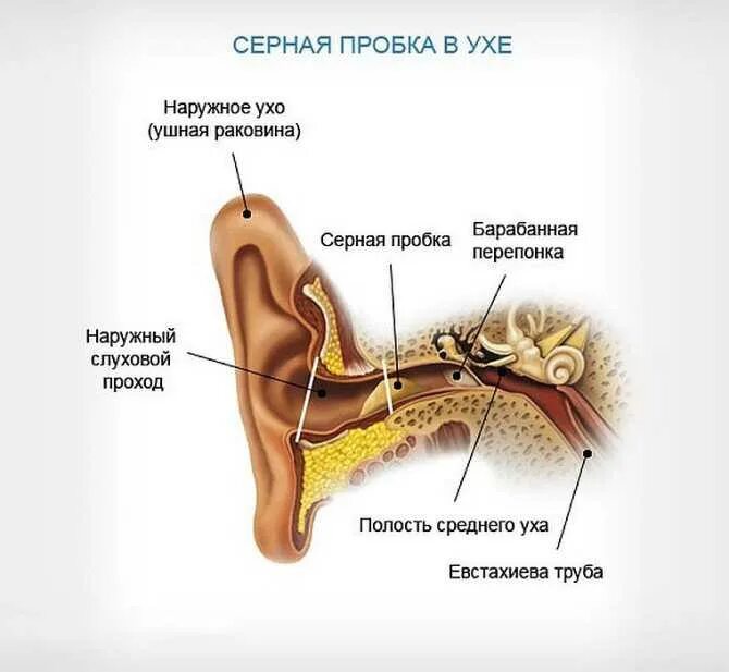 Гул в ухе и заложенность
