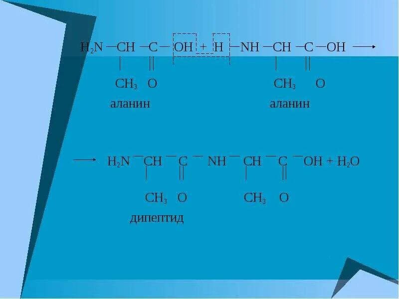 Дипептид реакции. Дипептид аланина. ch3-o-ch3. дипептид аланина + o2. аланин аланин дипептид.