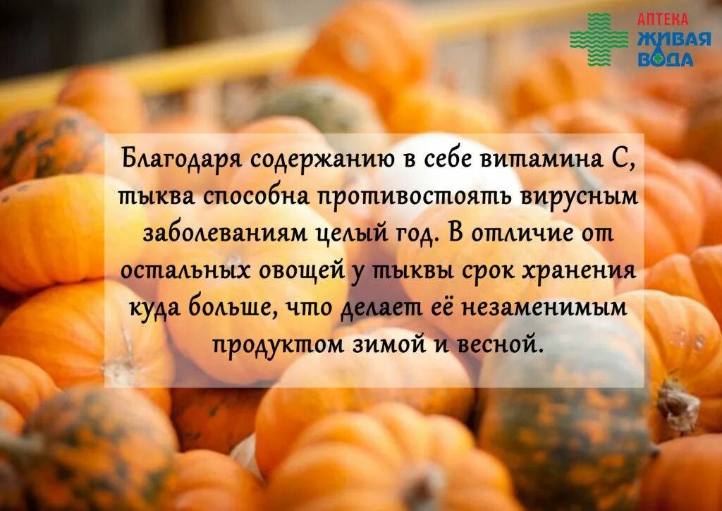 В каком виде есть тыкву