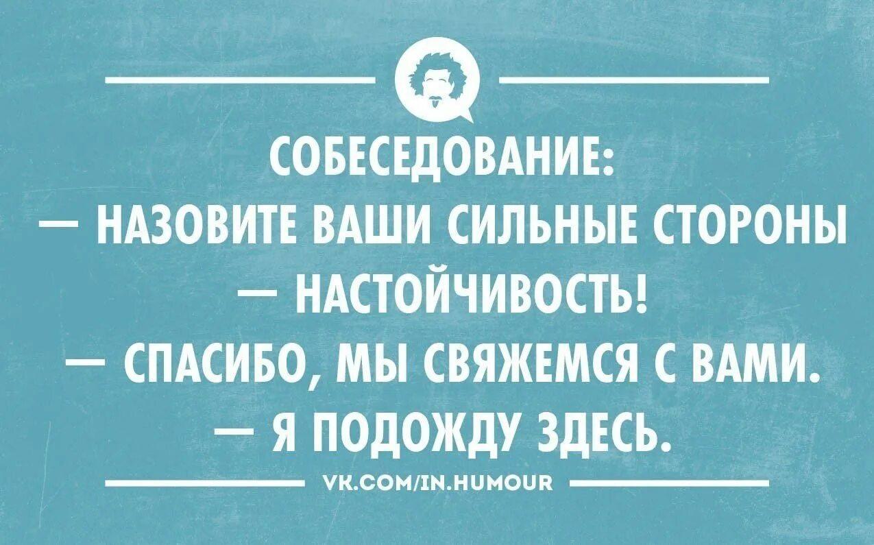 Шутки про настойчивость. Цитаты про собеседование. Шутки про собеседование. Анекдот про настойчивость. Анекдоты про качество