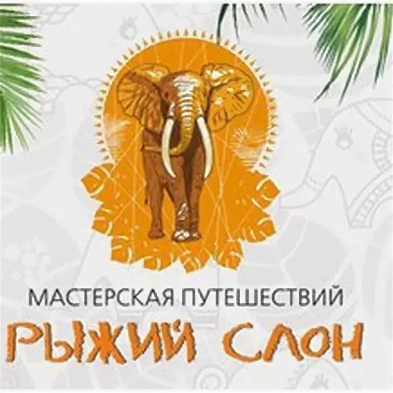 Colosseo 81402. А. Маспут мастерская путешествий. Мастерская путешествий рыжий слон. Маспут мастерская путешествий.