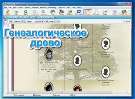 Бесплатная программа древо