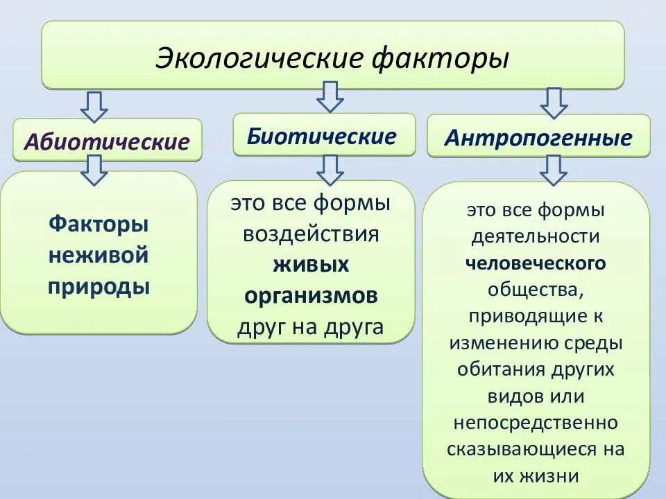 Экологические факторы среды 9 класс тест. Экологические факторы. Экологические факторы среды. Дэкологические фактор. Абиотические экологические факторы.