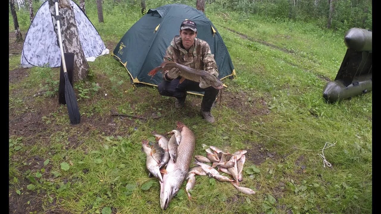 Рыбалка на Чулыме. Щуки Чулыма. Рыбалка на Чулыме Новосибирской области 2020. Охота в глухомани. Дром чулым