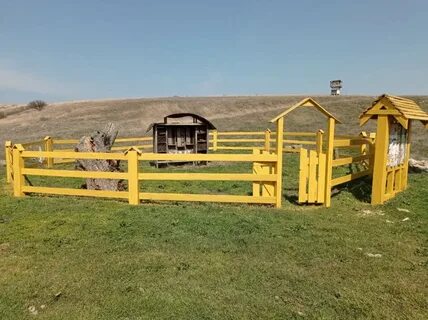 Пчелы в крыму
