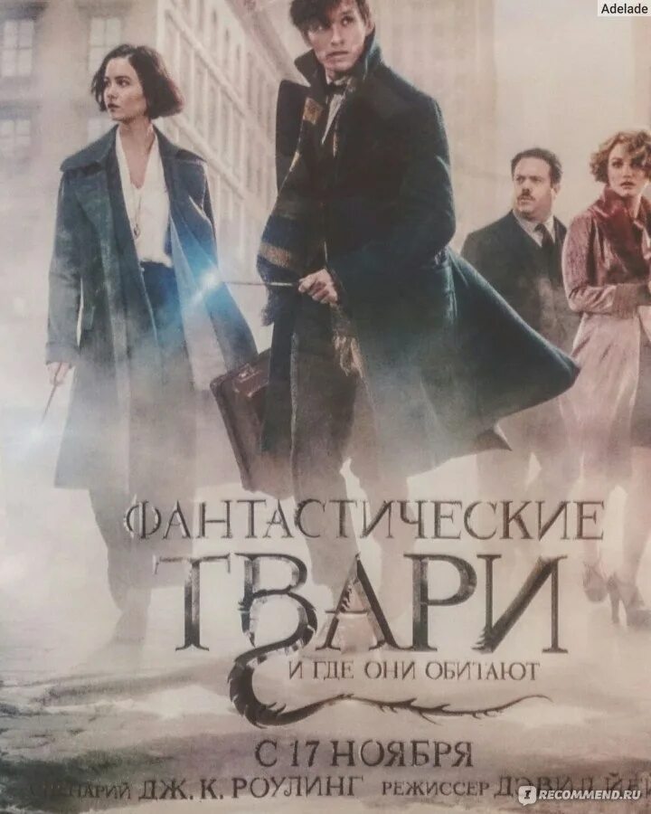 Твари и где они обитают отзывы. Фантастические твари и где они обитают (2016) постер. фантастические звери и места их обитания фильм. фантастические твари афиша. фантастические твари 1 постер.
