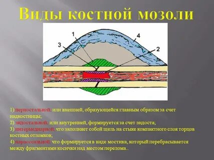Как называется слой в котором формируется